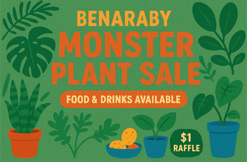 Benaraby Monster Plant Sale