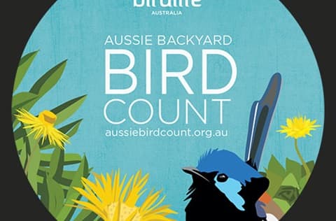 Aussie Backyard Bird Count